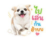 858928263