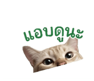 858928834