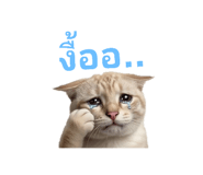 858928836