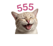 858928844
