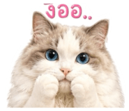 858929355