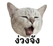 858930161