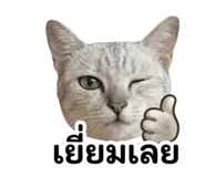 858930164