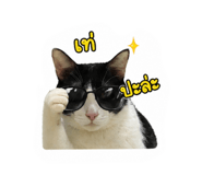 858931764