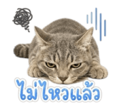 858933308
