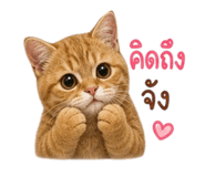 858933315