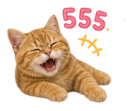 858933320