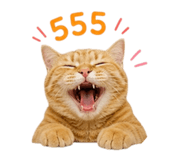 858933323