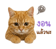 858933330