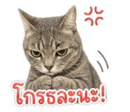 858933333