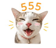 858933337