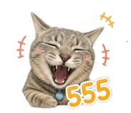 858933338