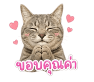 858933341