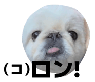 858933452