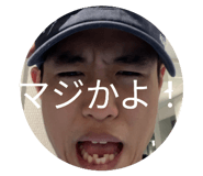 858933733