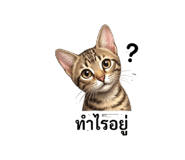 858933789