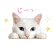 858934363