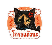 858934623