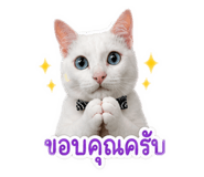 858935368