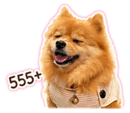 858935543