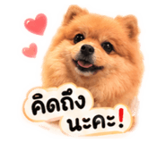 858935549