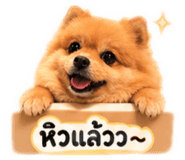 858935551