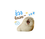 858936128