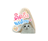 858936132