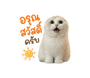 858936133