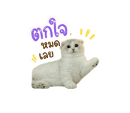 858936135
