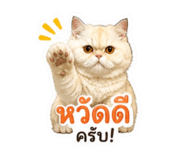 858936274