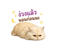 858936281