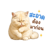 858936283