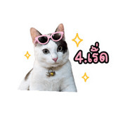 858936857