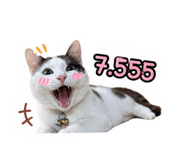 858936863