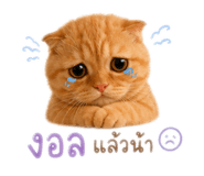 858937170