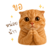 858937171