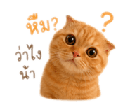 858937173