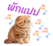 858937228