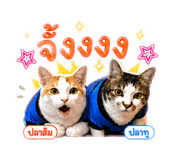858939414