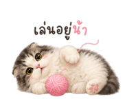 858939631
