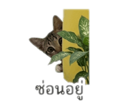 858940988