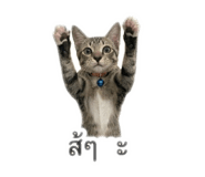 858940989