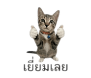 858940990