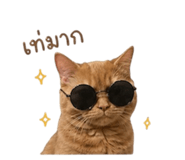 858941920
