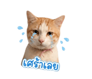 858941958