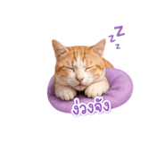 858941962