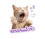 858941971