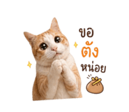 858941973