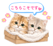 858943239